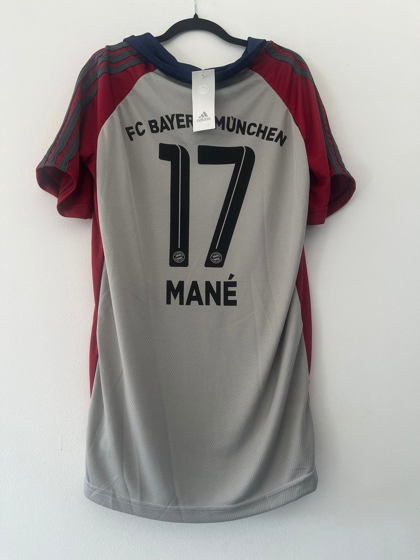 Bayern Múnich mane