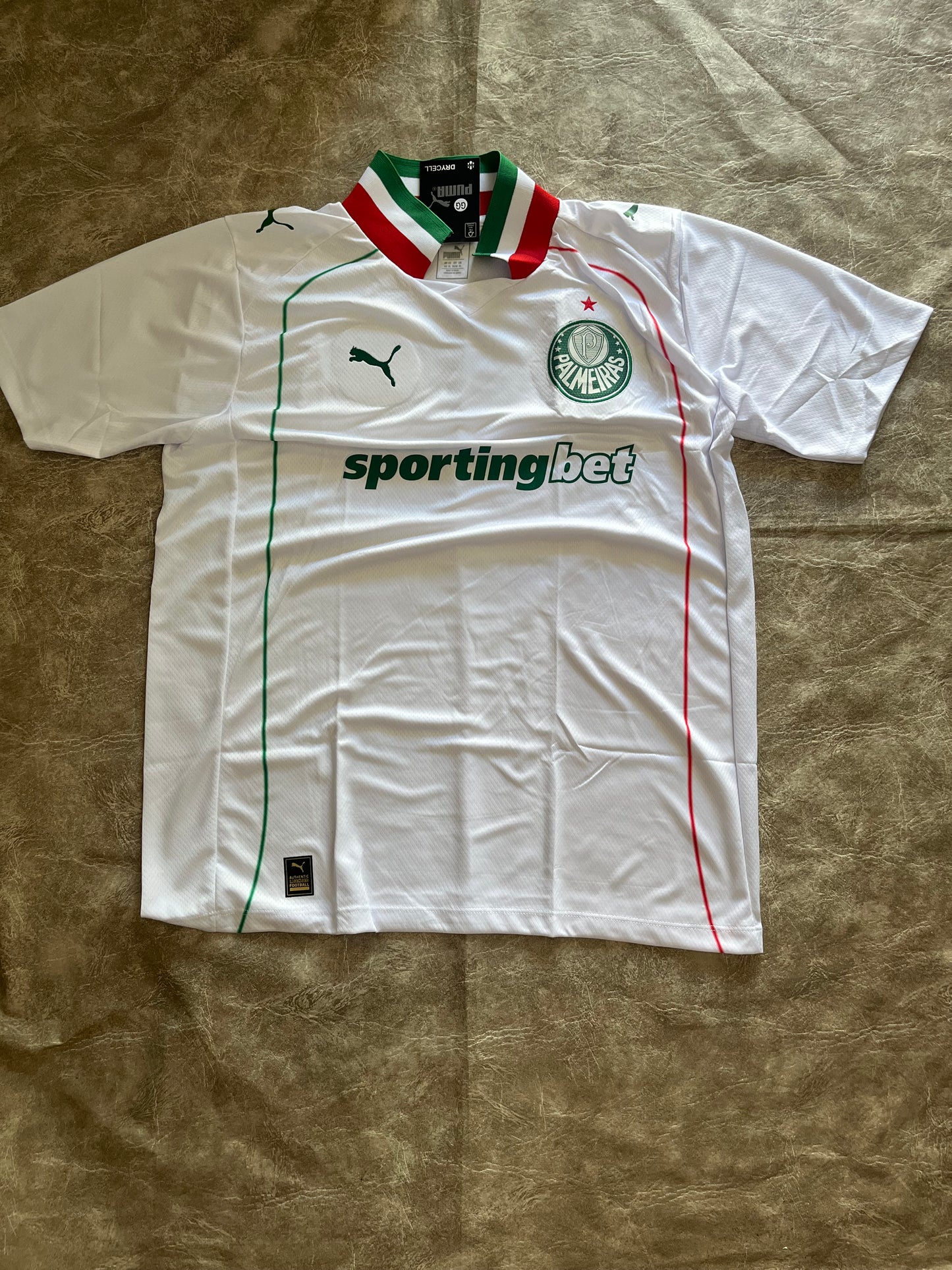 Palmeiras 2024