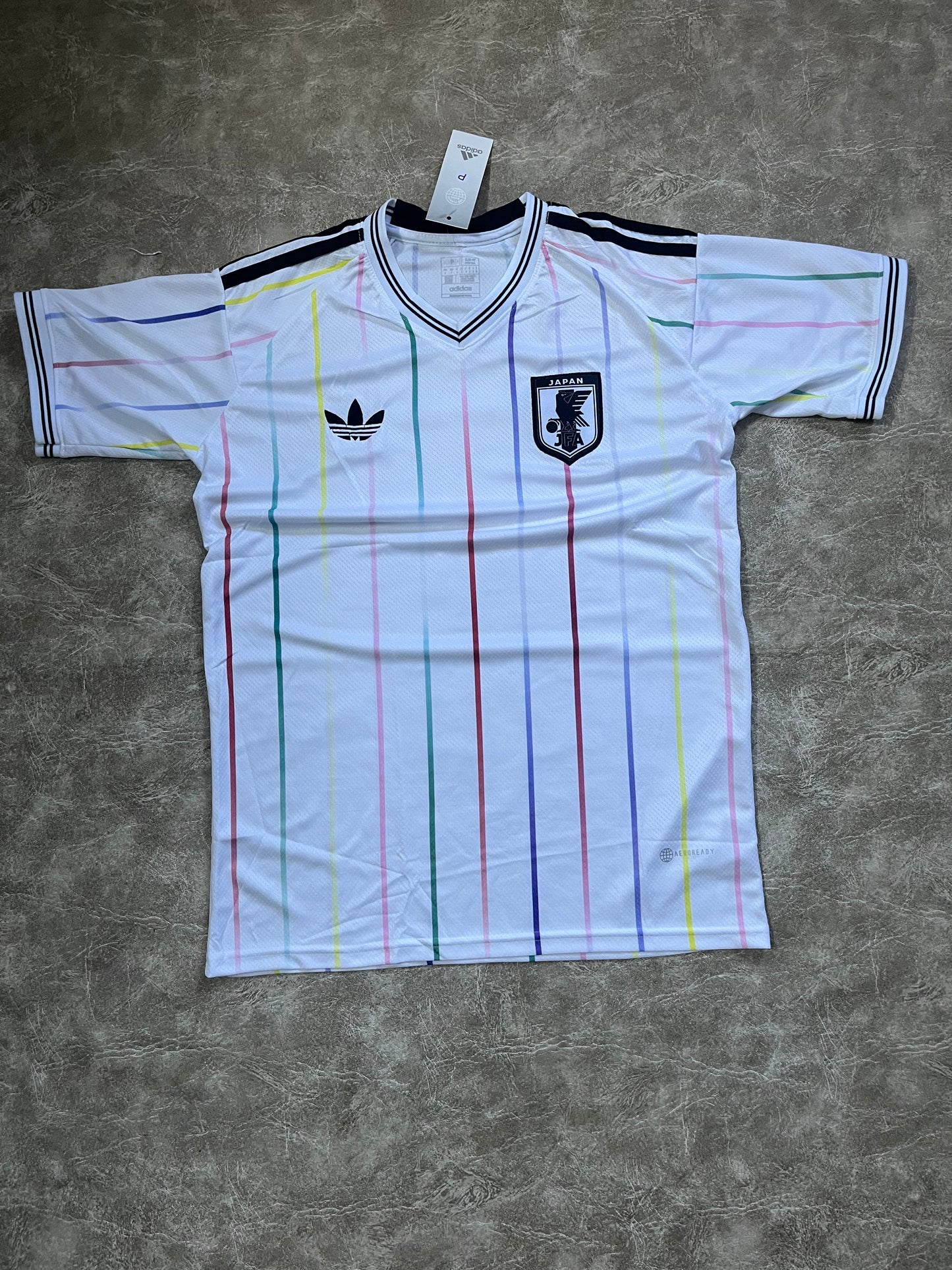 Japón 2024